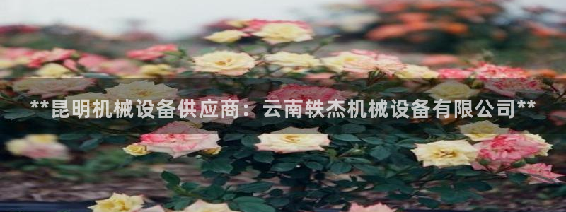 九游会集团货币