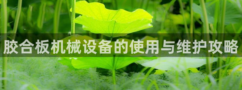 九游会怎么了