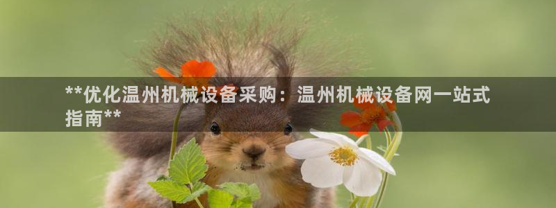 九游会网址是多少