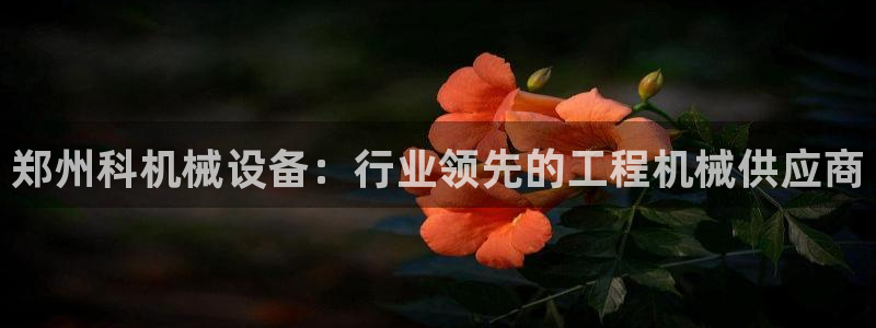 九游会怎么了