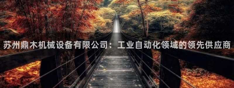 九游会ag真人官网