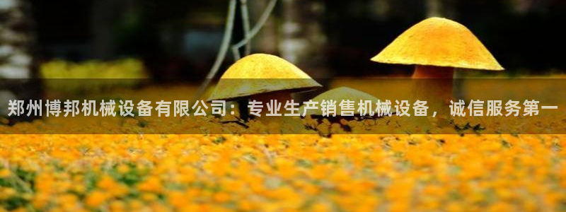 九游会手机登陆