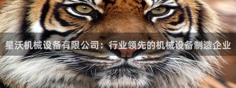 九游会网页