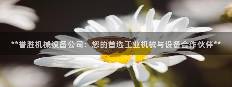 九游会登不上：**誉